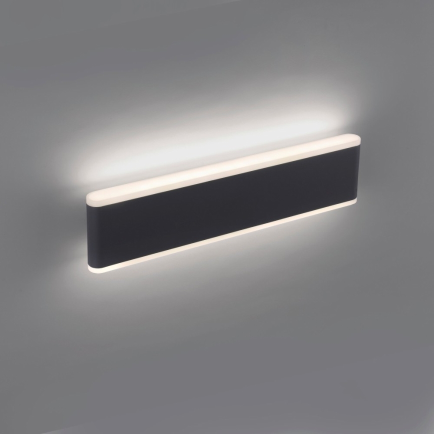 Paul Neuhaus 9484-13 - LED Димируем екстериорен аплик ELSA 2xLED/9W/230V IP65
