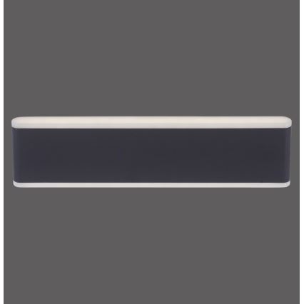Paul Neuhaus 9484-13 - LED Димируем екстериорен аплик ELSA 2xLED/9W/230V IP65