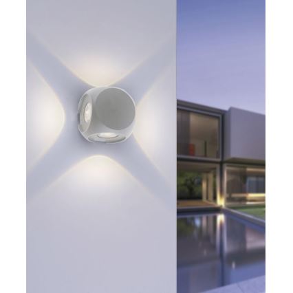 Paul Neuhaus 9485-21 - LED Екстериорен аплик CARLO 4xLED/0,8W/230V IP54