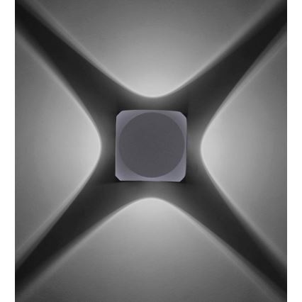 Paul Neuhaus 9485-21 - LED Екстериорен аплик CARLO 4xLED/0,8W/230V IP54