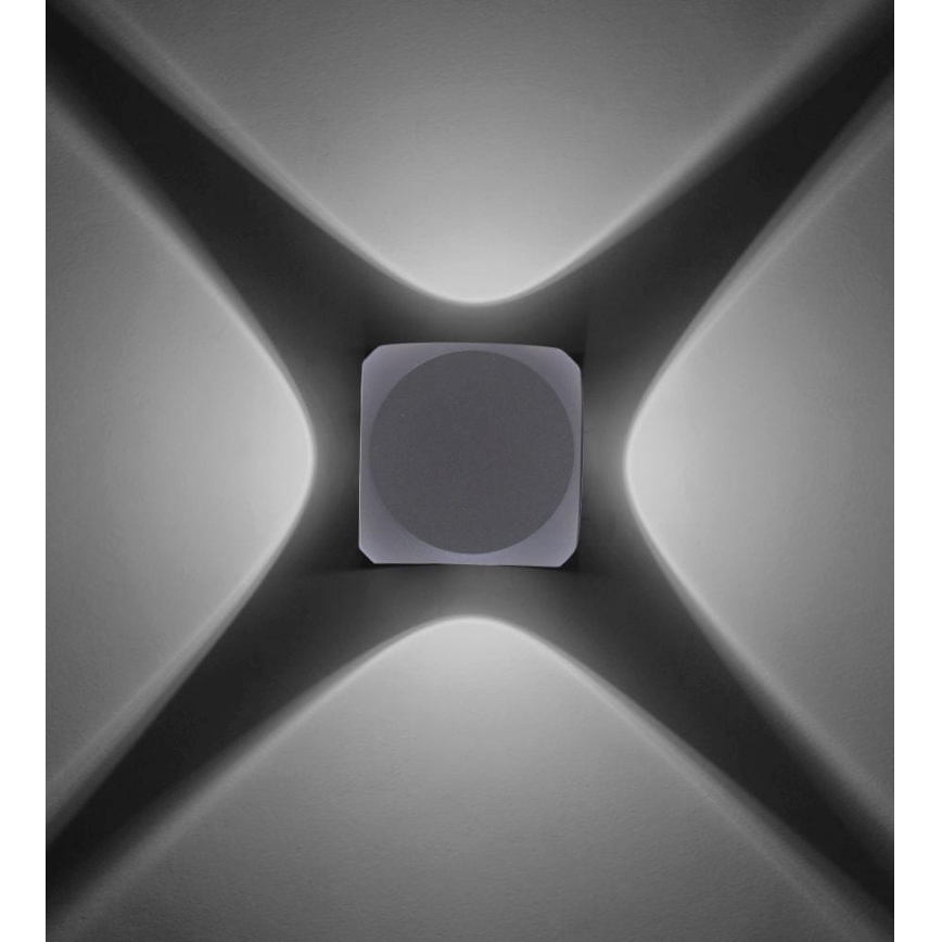 Paul Neuhaus 9485-21 - LED Екстериорен аплик CARLO 4xLED/0,8W/230V IP54
