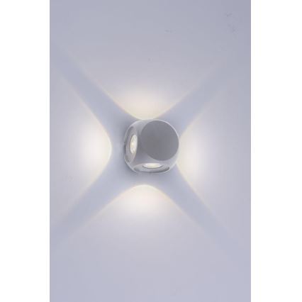 Paul Neuhaus 9485-21 - LED Екстериорен аплик CARLO 4xLED/0,8W/230V IP54