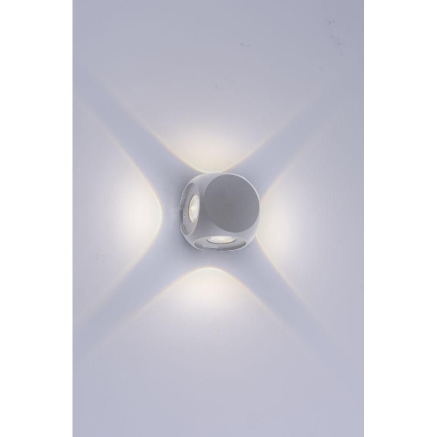 Paul Neuhaus 9485-21 - LED Екстериорен аплик CARLO 4xLED/0,8W/230V IP54