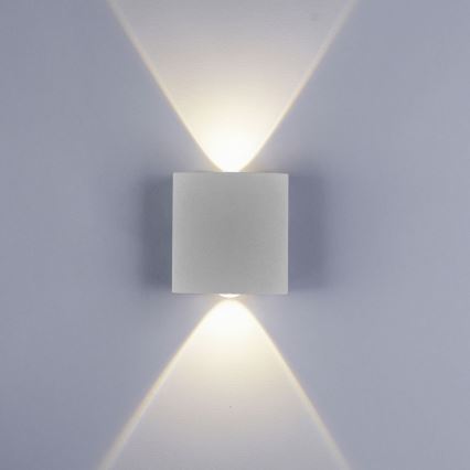 Paul Neuhaus 9486-21 - LED Екстериорен аплик CARLO 2xLED/1,7W/230V IP54