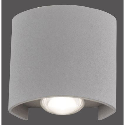 Paul Neuhaus 9486-21 - LED Екстериорен аплик CARLO 2xLED/1,7W/230V IP54