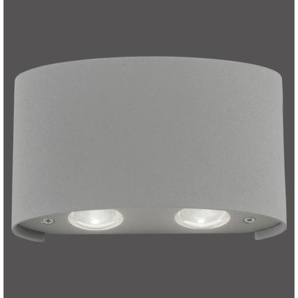 Paul Neuhaus 9487-21 - LED Екстериорен аплик CARLO 4xLED/0,8W/230V IP54