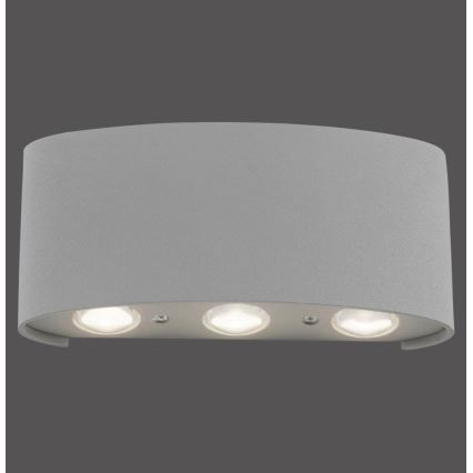 Paul Neuhaus 9488-21 - LED Екстериорен аплик CARLO 6xLED/0,8W/230V IP54