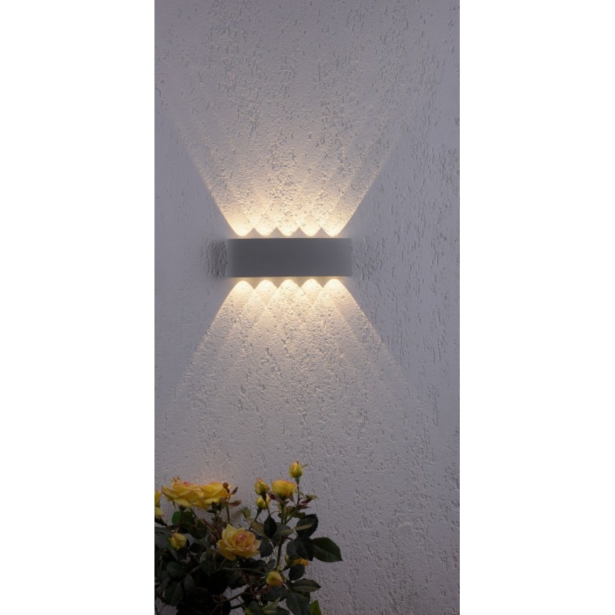 Paul Neuhaus 9489-21- LED Екстериорен аплик CARLO 10xLED/0,8W/230V IP54