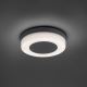 Paul Neuhaus 9490-13 - LED Екстериорна лампа FABIAN LED/12,6W/230V IP54