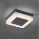 Paul Neuhaus 9491-13 - LED Екстериорна лампа FABIAN LED/12,6W/230V IP54