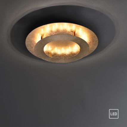 Paul Neuhaus 9620-12 - LED Лампа NEVIS LED/18W/230V златиста