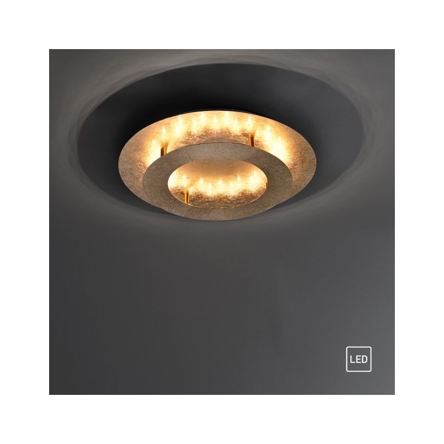 Paul Neuhaus 9620-12 - LED Лампа NEVIS LED/18W/230V златиста