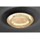Paul Neuhaus 9621-12 - LED Лампа NEVIS LED/24W/230V