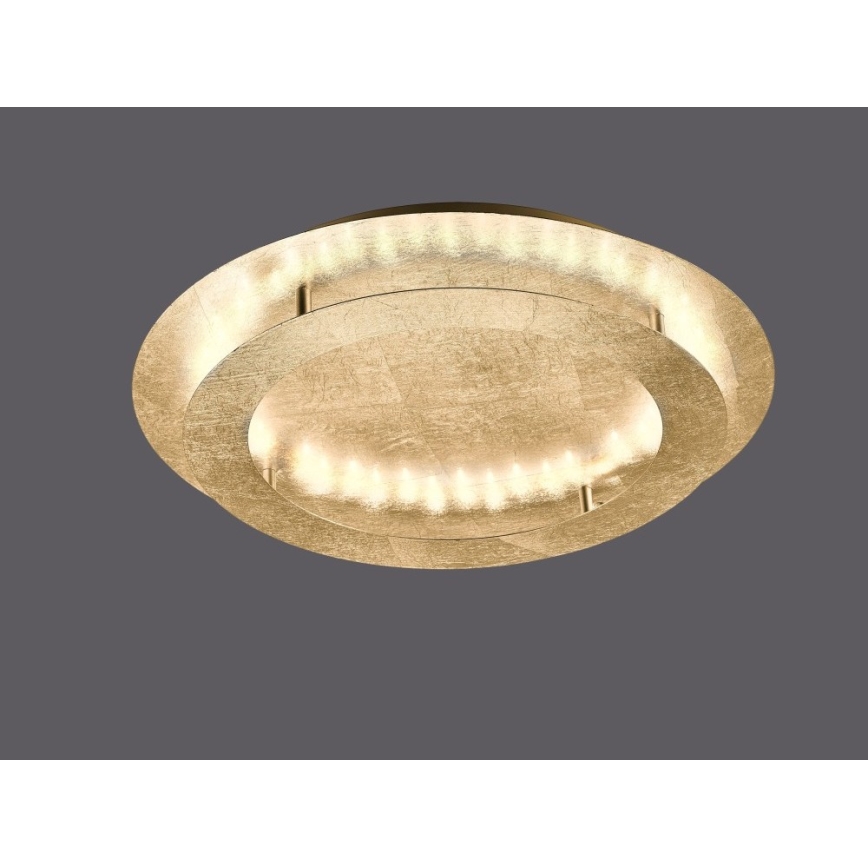 Paul Neuhaus 9621-12 - LED Лампа NEVIS LED/24W/230V