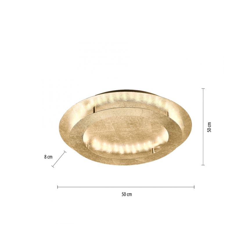Paul Neuhaus 9621-12 - LED Лампа NEVIS LED/24W/230V