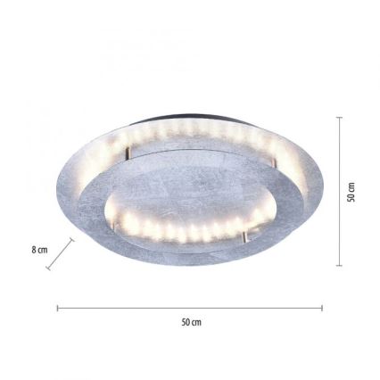 Paul Neuhaus 9621-21 - LED Лампа NEVIS LED/24W/230V