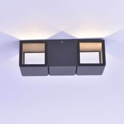 Paul Neuhaus 9658-13 - LED Екстериорен аплик MARCEL 2xLED/4W/230V IP54