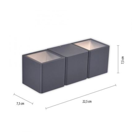Paul Neuhaus 9658-13 - LED Екстериорен аплик MARCEL 2xLED/4W/230V IP54