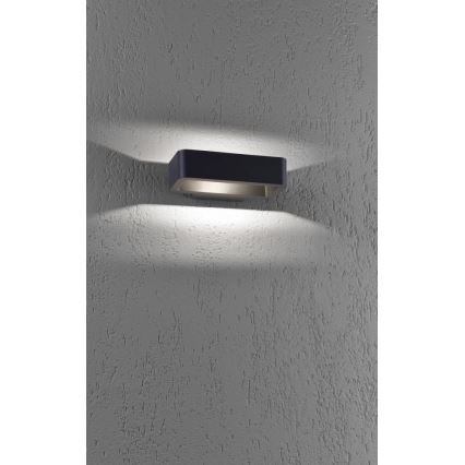 Paul Neuhaus 9668-13 - LED Екстериорен аплик HENDRIK LED/5,2W/230V IP54