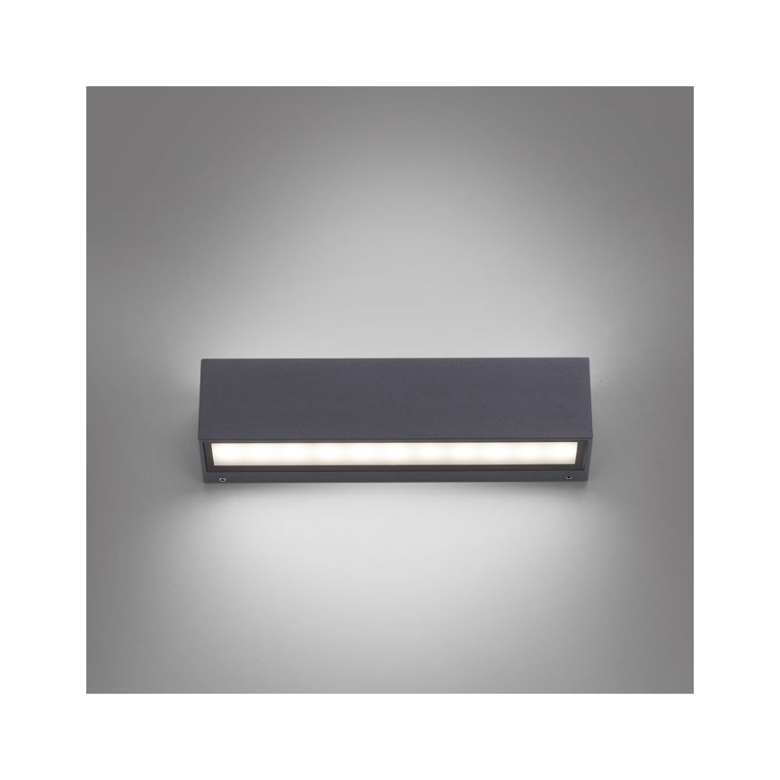 Paul Neuhaus 9675-13 - LED Екстериорен аплик ROBERT 2xLED/9W/230V IP65