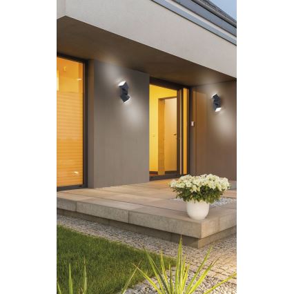 Paul Neuhaus 9722-13 - LED Екстериорен аплик RYAN 2xLED/5W/230V IP54