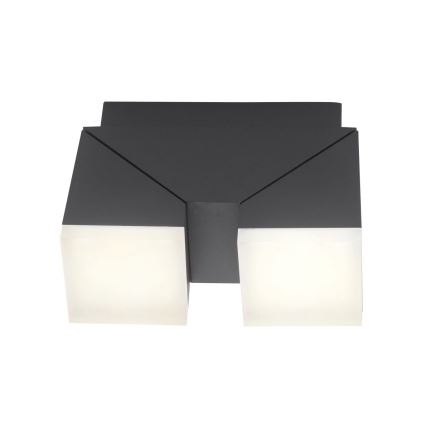 Paul Neuhaus 9722-13 - LED Екстериорен аплик RYAN 2xLED/5W/230V IP54
