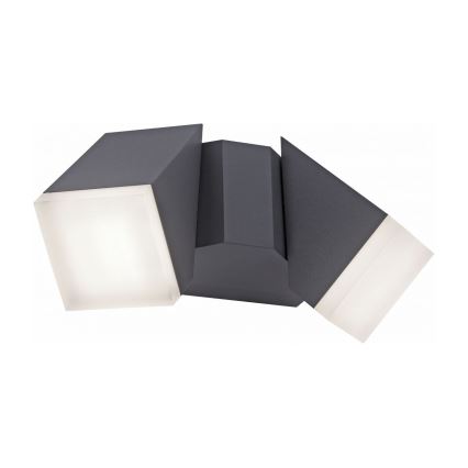 Paul Neuhaus 9722-13 - LED Екстериорен аплик RYAN 2xLED/5W/230V IP54