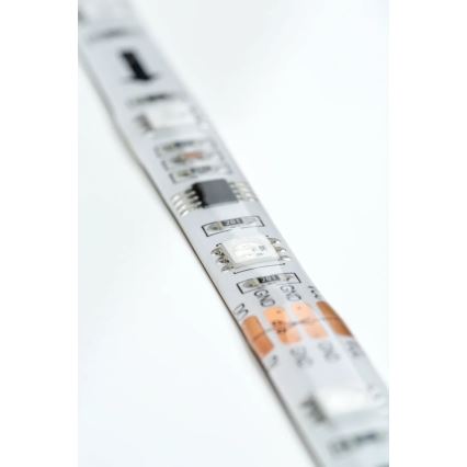 Paulmann 70480 - LED RGBW/16,5W Димируема лента DIGITAL 5 м 230V + дистанционно управление