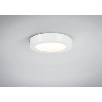 Paulmann 70642 - LED/12,5W Плафон LUNAR 230V Ø 22,5 см бял