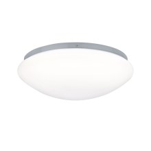 Paulmann 70724 - LED/9,5W За баня Лампа за таван със сензор 230V IP44