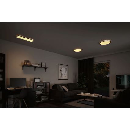Paulmann 71003 - LED/22W Димируем панел ATRIA 230V 3000K 20x58 см черен
