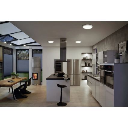 Paulmann 71023 - LED/22W Лампа ABIA 230V матов хром