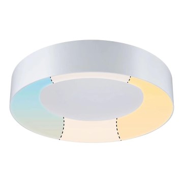 Paulmann 78947 - LED/23W IP44 Плафон за баня CASCA 230V