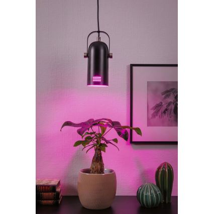 Paulmann 79766 - LED RGBW 1xE27/9W пендел на шнур LAVEA 230V черен
