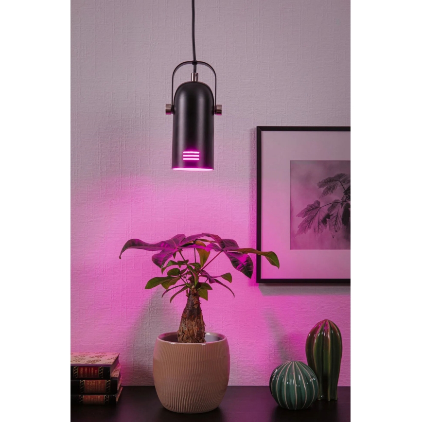 Paulmann 79766 - LED RGBW 1xE27/9W пендел на шнур LAVEA 230V черен