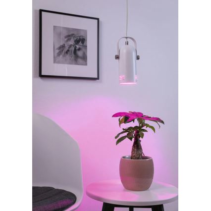 Paulmann 79767 - LED RGBW 1xE27/9W Полилей на кабел LAVEA 230V бял