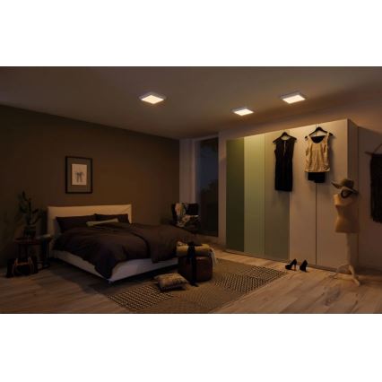 Paulmann 79795 - LED/13W Плафон CARPO 230V 2300/2500/3000K