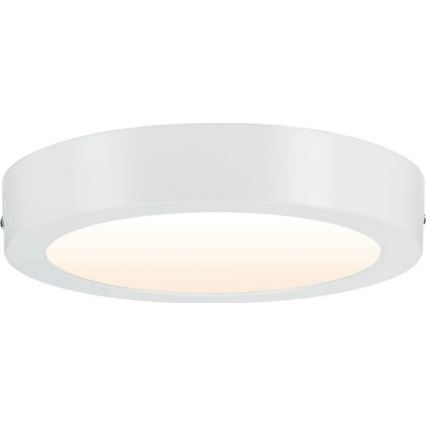 Paulmann 79795 - LED/13W Плафон CARPO 230V 2300/2500/3000K