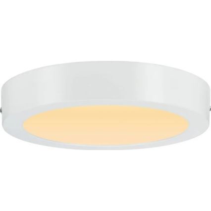 Paulmann 79795 - LED/13W Плафон CARPO 230V 2300/2500/3000K