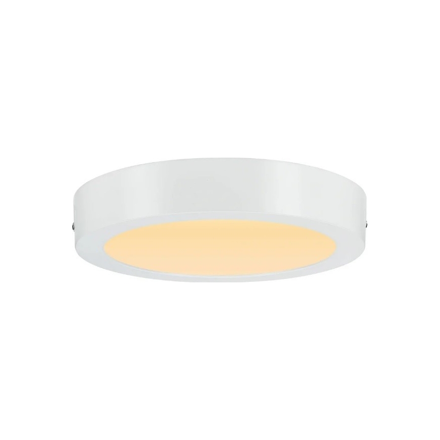 Paulmann 79795 - LED/13W Плафон CARPO 230V 2300/2500/3000K