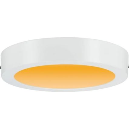 Paulmann 79795 - LED/13W Плафон CARPO 230V 2300/2500/3000K