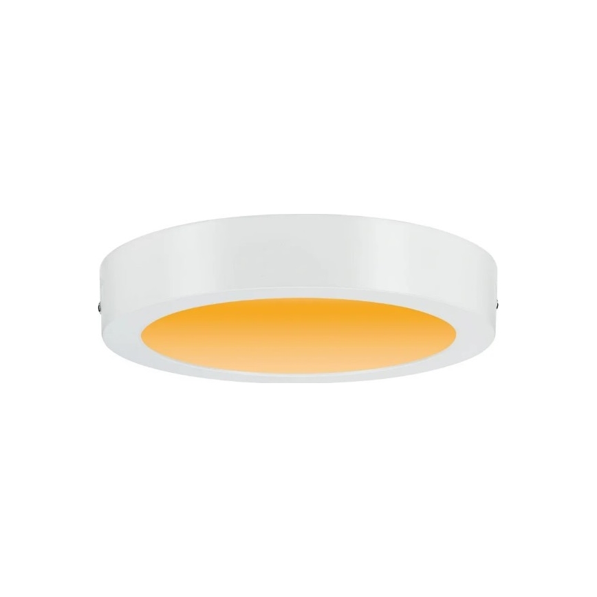 Paulmann 79795 - LED/13W Плафон CARPO 230V 2300/2500/3000K