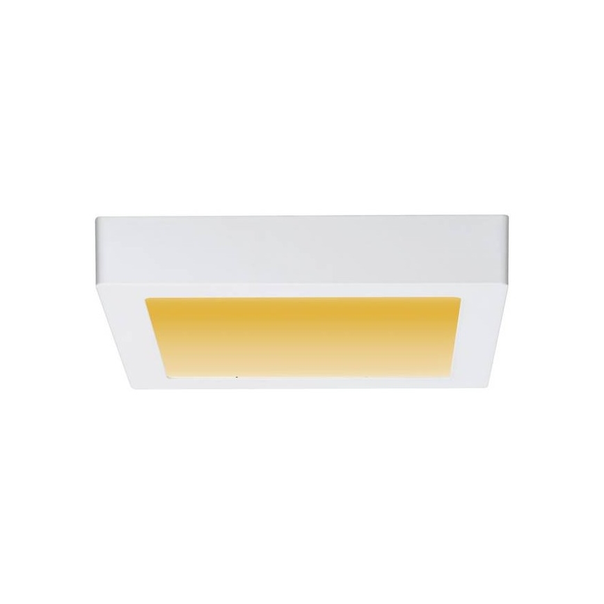 Paulmann 79796 - LED/13W Лампа CARPO 230V 2300-3000K