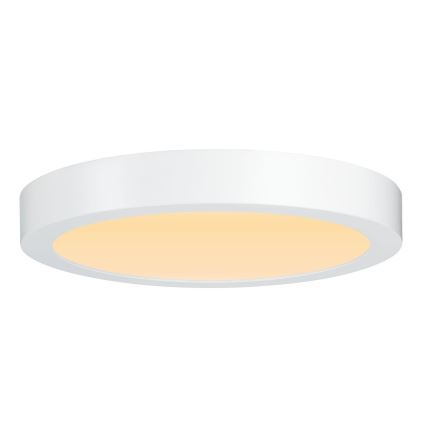 Paulmann 79799 - LED/19W Плафон CARPO 230V 2300/2500/3000K