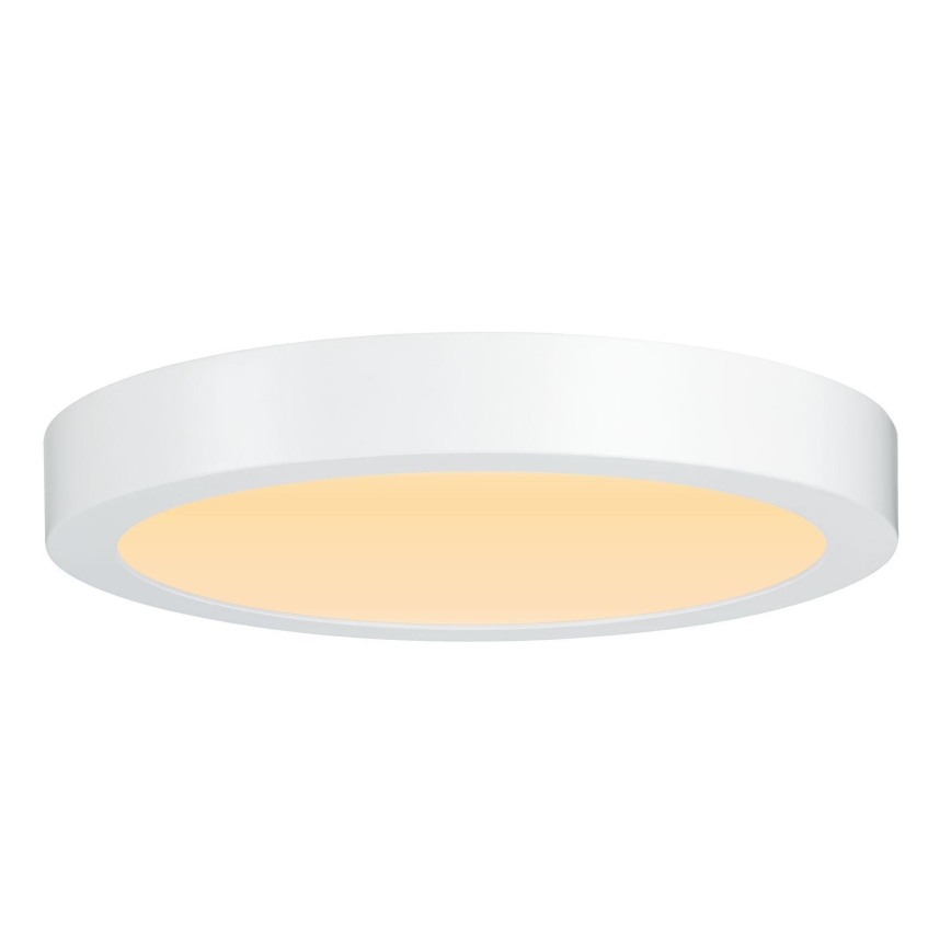 Paulmann 79799 - LED/19W Плафон CARPO 230V 2300/2500/3000K