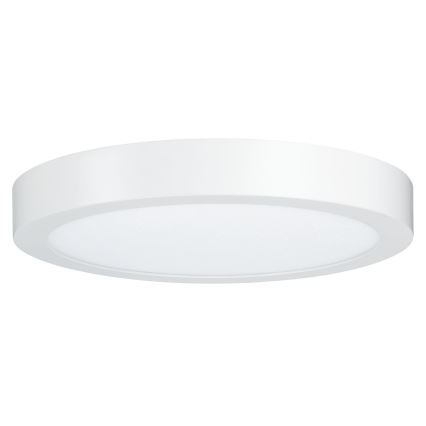 Paulmann 79799 - LED/19W Плафон CARPO 230V 2300/2500/3000K