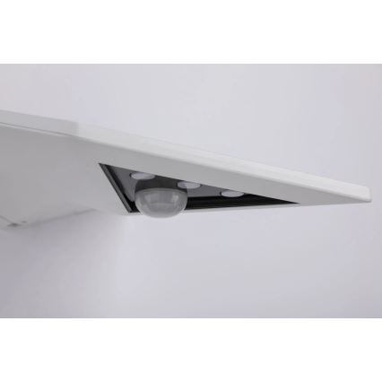 Paulmann 94244 - LED/1,2W IP44 Соларно стенно осветително тяло със сензор YOKO 3,7V 1800 mAh бяло