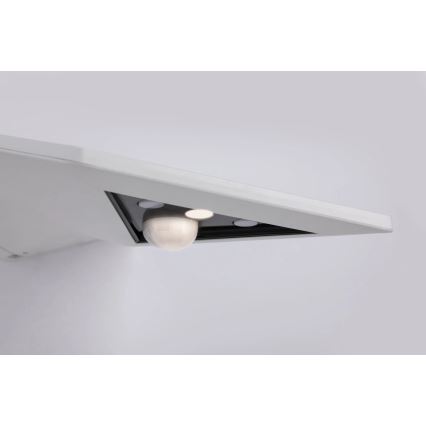 Paulmann 94244 - LED/1,2W IP44 Соларно стенно осветително тяло със сензор YOKO 3,7V 1800 mAh бяло