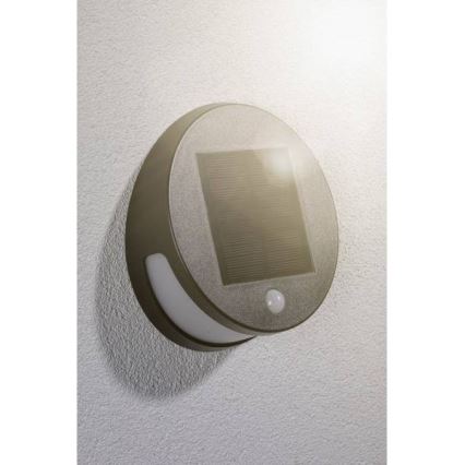 Paulmann 94265 - LED/3W IP44 Екстериорна соларна лампа със сензор HELENA 3,7V 1800 mAh