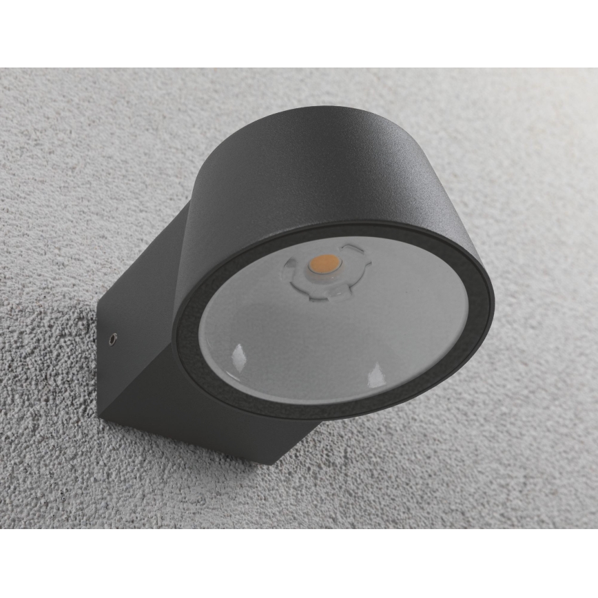 Paulmann 94452 - LED/6W IP44 Екстериорен аплик CAPEA 230V